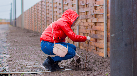 How Carbon Offsetting Can Reduce Your Carbon Footprint