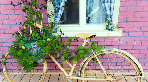 Earth Day 2022 Tips - 22 Sustainable Swaps