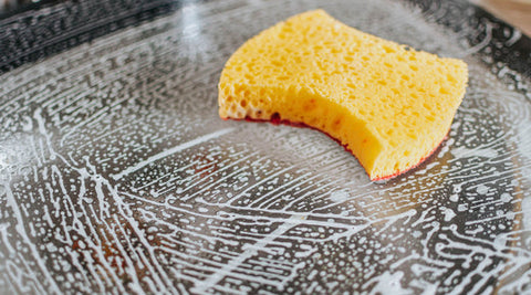kitchen sponges for dishes and countertops can be full of bacteria