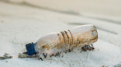 How to Go Plastic Free Without Turning Your Life Upside Down