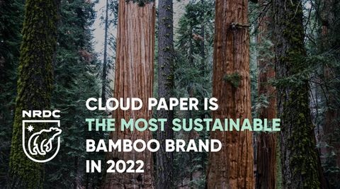 The NRDC has ranked Cloud Paper as the most sustainable bamboo brand in 2022