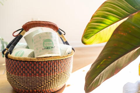 Bamboo vs. Recycled Toilet Paper for Hotels