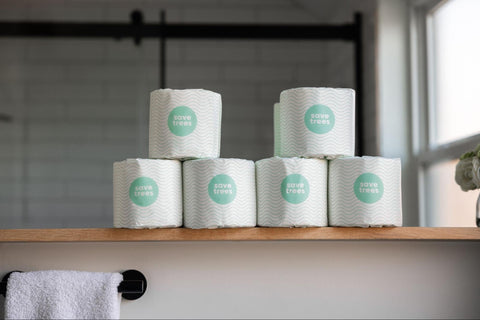 Eco-Friendly and Sustainable Toilet Paper: Bamboo versus Recycled
