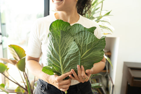 The Eco-Minimalist’s Guide to Ditching Eco-Bling