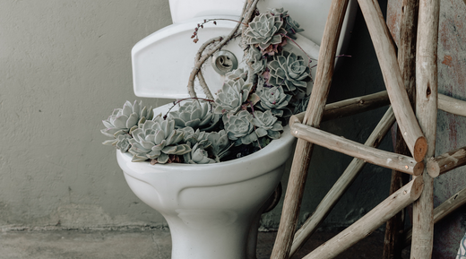 Biodegradable Toilet Paper: The Key to a Healthy Septic Tank