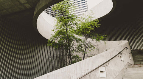 easy sustainable ideas for businesses to reduce their carbon footprints