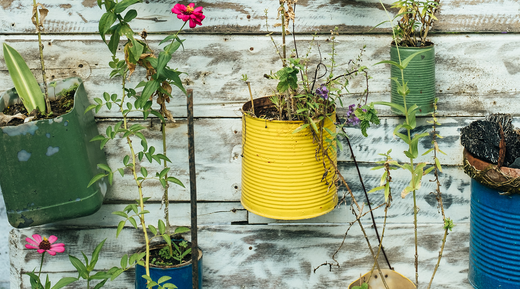 The Complete Guide to Sustainable Living in 2021