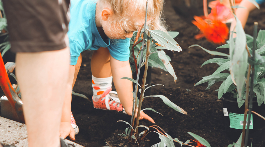 15 Ways to Celebrate Arbor Day 2021