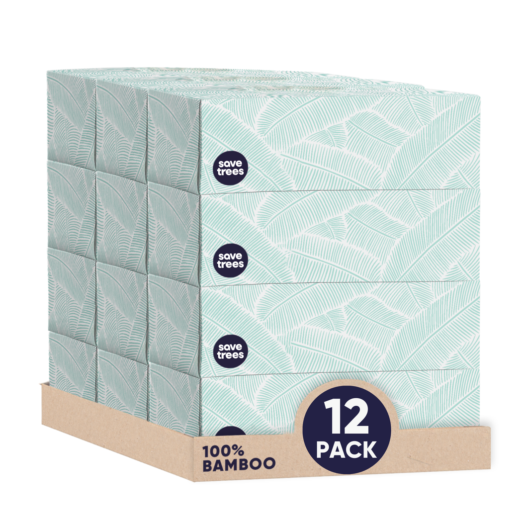 Bamboo facial tissues, 12 pack