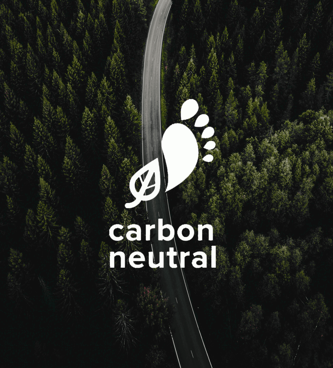 Image of forest - carbon neutral delivery