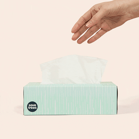 Bamboo Tissues - 12 Boxes