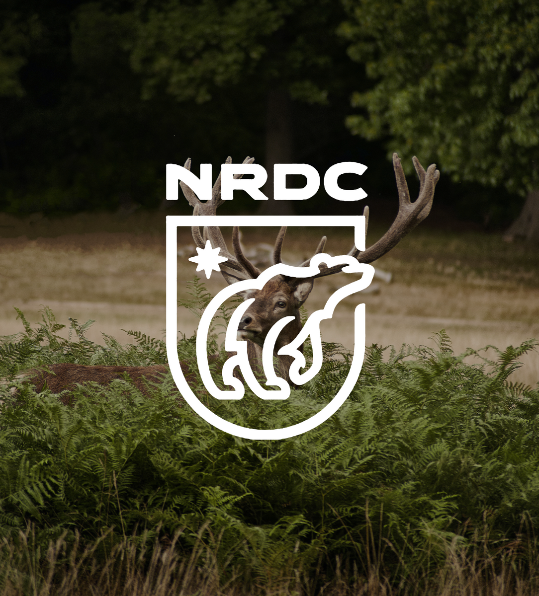 Natural Resources Defense Council logo